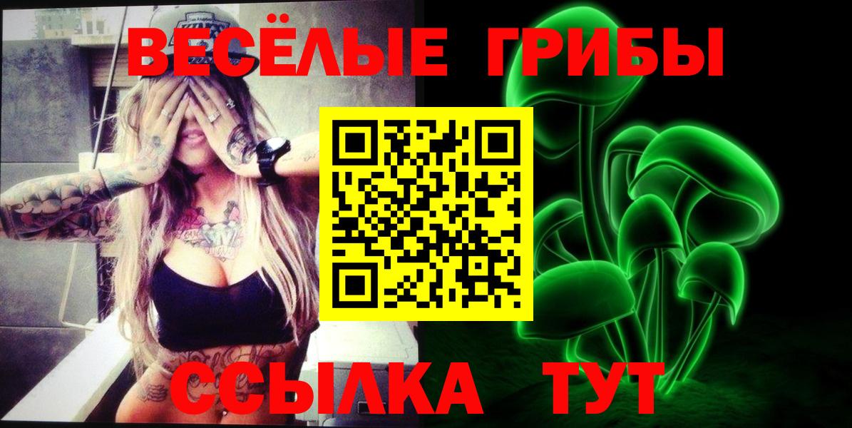 Ессентуки  где найти наркотики  Вход с VPN  Галлюциногенные грибы мицелий  Псилоцибиновые грибы Magic Shrooms 