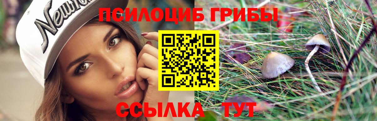 Псилоцибиновые грибы Psilocybine cubensis Ессентуки