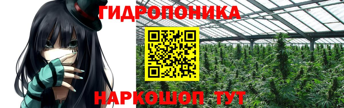 Бошки марихуана тримм  Канабис Amnesia  Ессентуки  МАРИХУАНА планчик  Вход с VPN 